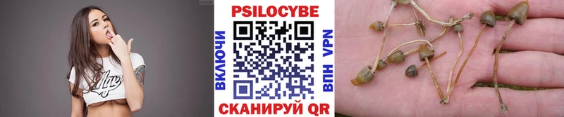 Псилоцибиновые грибы Magic Shrooms  дарк нет наркотические препараты  Петровск-Забайкальский 